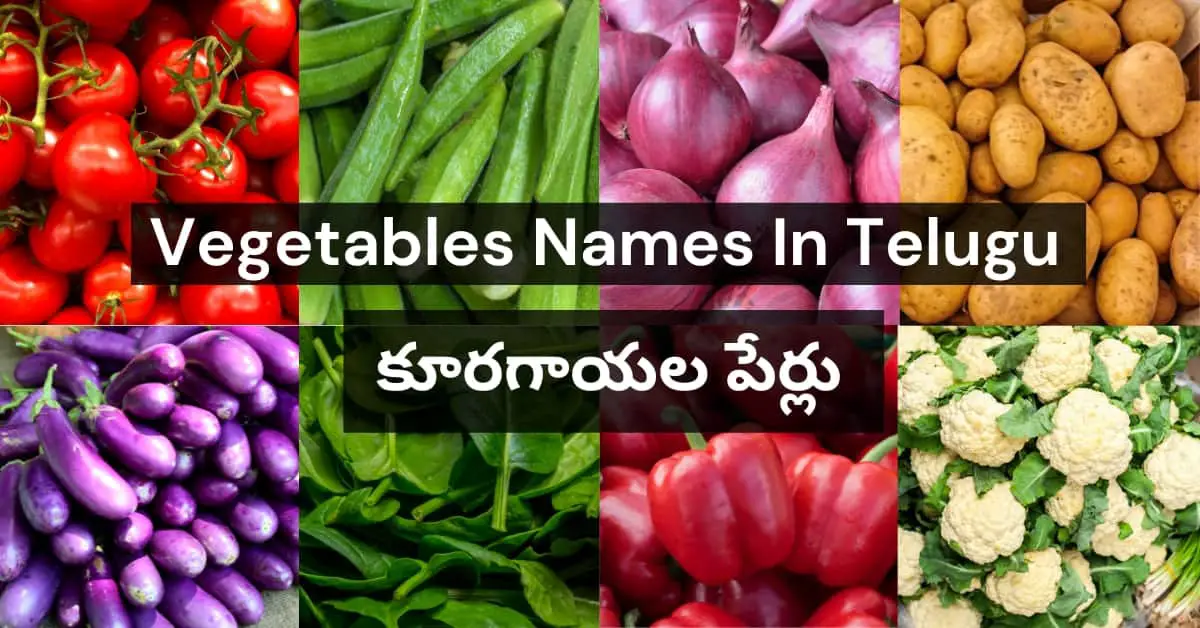 65 Vegetables Names In Telugu 